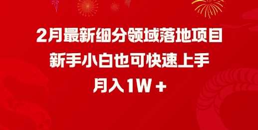 2月最新细分领域落地项目，新手小白也可快速上手，月入1W - 来及网络
