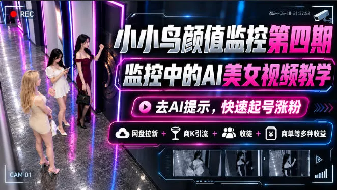 小小鸟颜值监控第四期，监控中的AI美女视频教学，去AI提示，快速起号涨粉，网盘拉新+商K引流+收徒+商单等多种收益 - 来及网络