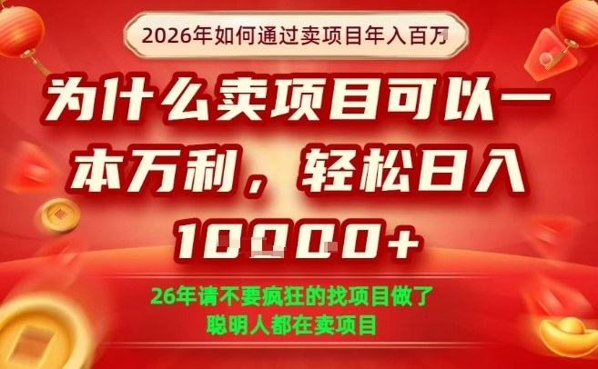 一单净利润1K+，26年想年入100个W，死磕卖项目就够了【揭秘】 - 来及网络