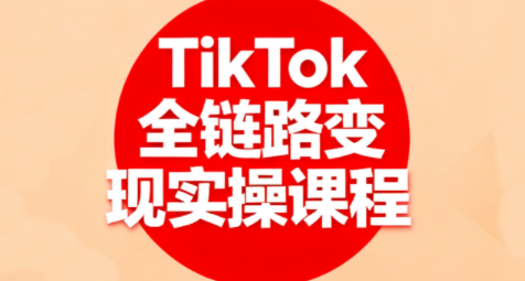 小杨老师·TikTok全链路变现实操课程 - 来及网络