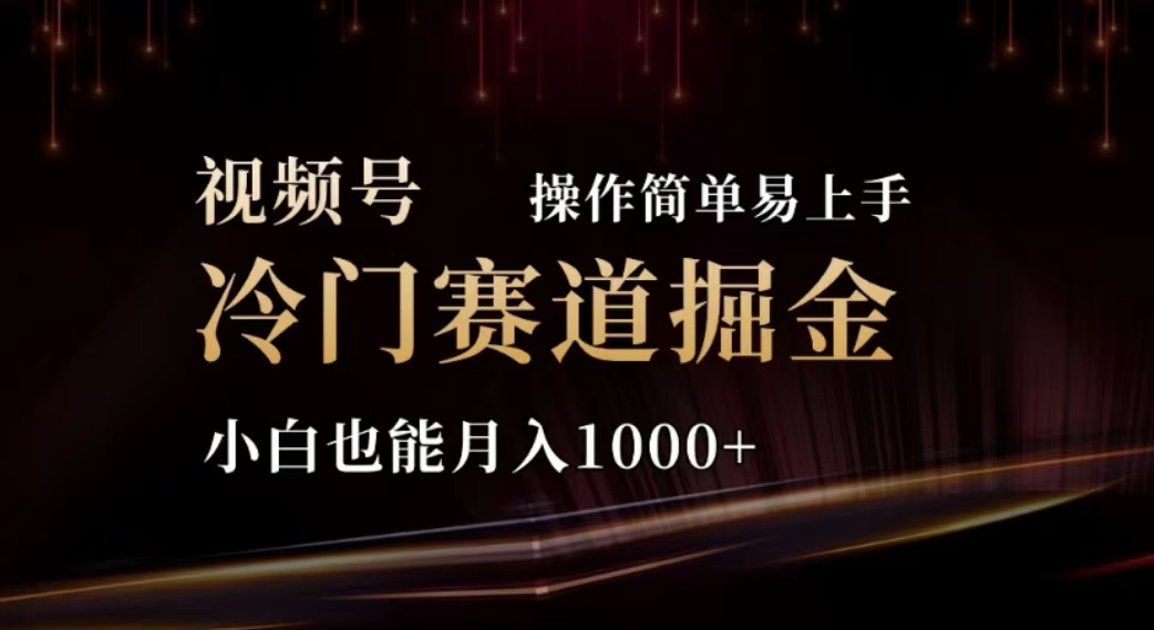 （11378期）2024视频号冷门赛道掘金，操作简单轻松上手，小白也能月入1000+ - 来及网络