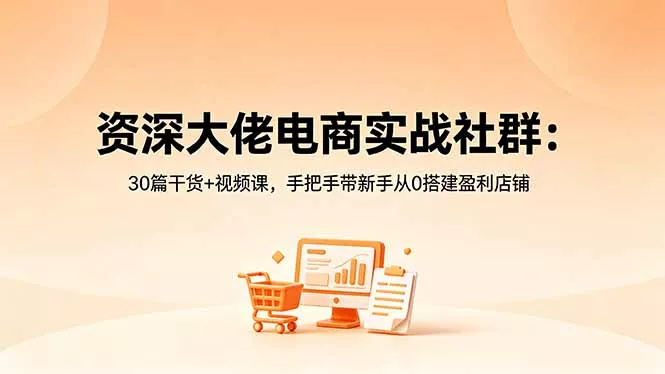 资深大佬电商实战社群：30篇干货+视频课，手把手带新手从0搭建盈利店铺 - 来及网络