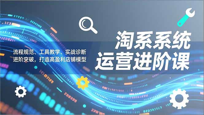 淘系系统运营进阶课2.0，流程规范、工具教学、实战诊断，进阶突破，打造高盈利店铺模型 - 来及网络