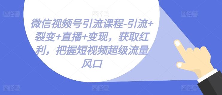 微信视频号引流课程-引流+裂变+直播+变现，获取红利，把握短视频超级流量风口 - 来及网络