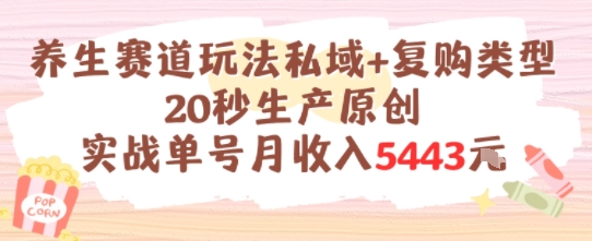 养生赛道玩法私域+复购类型，20秒生产原创实战单号月收入5k+ - 来及网络
