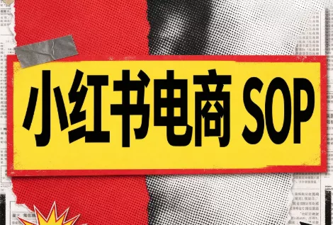 书豪必胜小红书电商sop(更新9月) - 来及网络