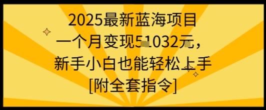 2025最新蓝海项目一个月变现1w+新手小白也能轻松上手【附全套指令】 - 来及网络
