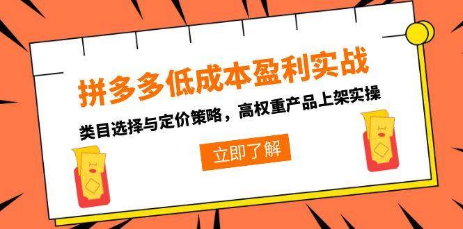 （15143期）拼多多低成本盈利实战，类目选择与定价策略，高权重产品上架实操 - 来及网络