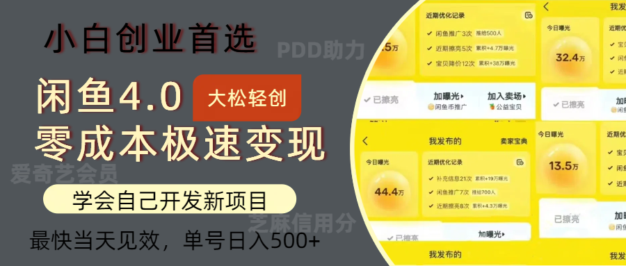 （12434期）闲鱼0成本极速变现项目，多种变现方式 单号日入500+最新玩法 - 来及网络