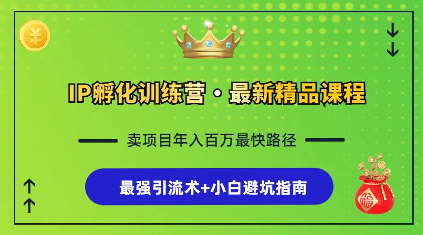 （13055期）IP孵化训练营，知识付费全流程+最强引流术+小白避坑指南 - 来及网络