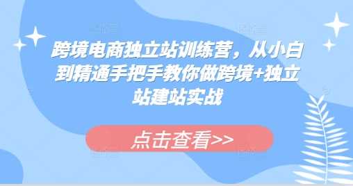 跨境电商独立站训练营，从小白到精通手把手教你做跨境+独立站建站实战 - 来及网络