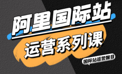 醒目老师·阿里国际站运营系列课(更新11月) - 来及网络