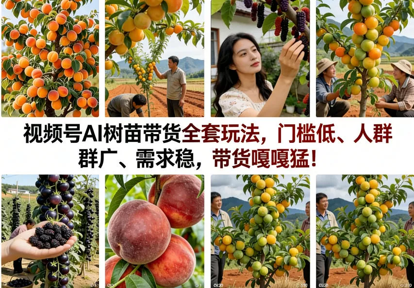 视频号AI树苗带货全套玩法，门槛低、人群广、需求稳，带货嘎嘎猛！(更新0908) - 来及网络