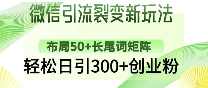 微信引流裂变新玩法：布局50+长尾词矩阵，轻松日引300+创业粉 - 来及网络