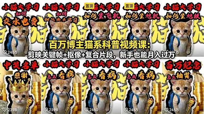 百万博主猫系科普视频课：剪映关键帧+抠像+复合片段，新手也能月入过万 - 来及网络