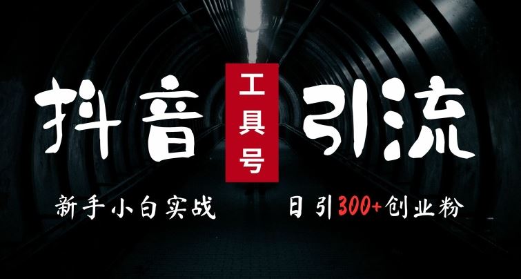 2024最新抖音工具号引流玩法，高效日引300+创业粉，当天变现5k，小白也可成为实战高手 - 来及网络