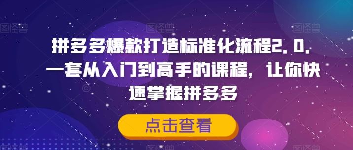 拼多多爆款打造标准化流程2.0，一套从入门到高手的课程，让你快速掌握拼多多 - 来及网络