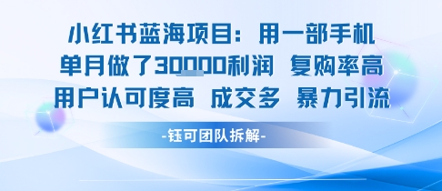 小红书蓝海项目，一部手机单月做了3W利润，小白也能月入过1W用户认可度高成交多 - 来及网络