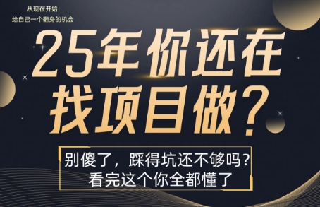 25年，你还在疯狂的找项目吗？别傻了，看完这个你都懂了【揭秘】 - 来及网络