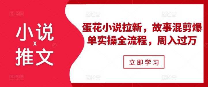小说推文之蛋花小说拉新，故事混剪爆单实操全流程，周入过万 - 来及网络