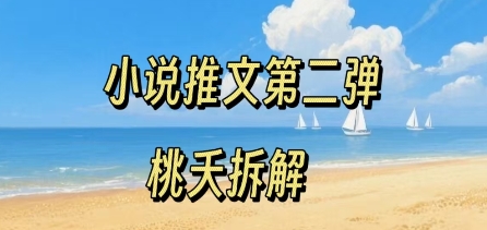 小说推文项目操作全流程第二弹，0粉就能做，门槛低非常适合新手 - 来及网络