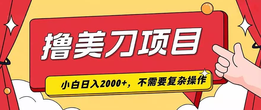 撸美刀，单日收入2000+，小白可做 - 来及网络