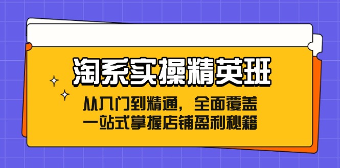 （12276期）淘系实操精英班：从入门到精通，全面覆盖，一站式掌握店铺盈利秘籍 - 来及网络