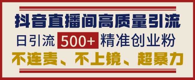 抖音直播间引流创业粉，无需连麦、不用上镜、超暴力，日引流500+高质量精准创业粉 - 来及网络