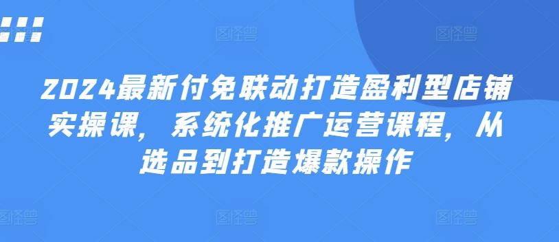2024最新付免联动打造盈利型店铺实操课，系统化推广运营课程，从选品到打造爆款操作 - 来及网络