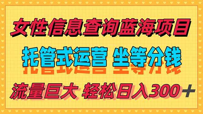 （15216期）稳定日入300＋，小众信息查询蓝海项目，全程懒人式托管，解放你的时间 - 来及网络