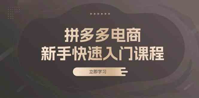 拼多多电商新手快速入门课程：涵盖基础、实战与选款，助力小白轻松上手 - 来及网络