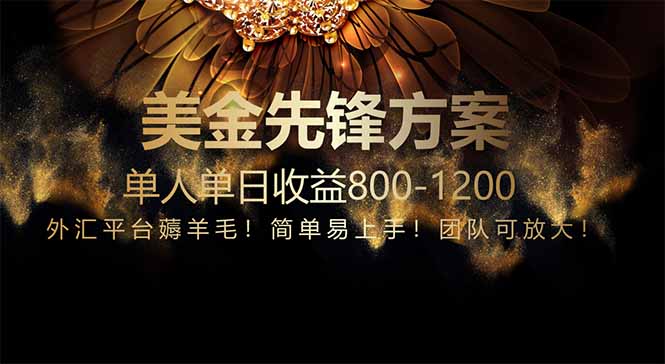 免费技术！小众赛道！一年布局抵三年努力，每日800+ - 来及网络