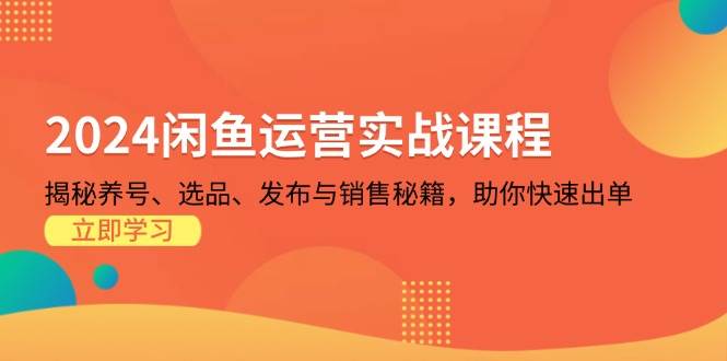 （13290期）2024闲鱼运营实战课程：揭秘养号、选品、发布与销售秘籍，助你快速出单 - 来及网络