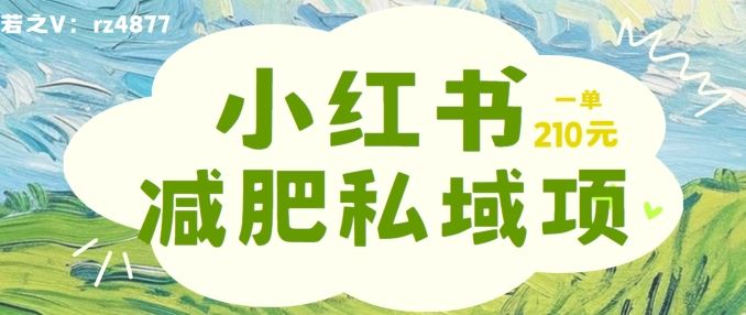 小红书减肥粉，私域变现项目，一单就达210元，小白也能轻松上手【揭秘】 - 来及网络