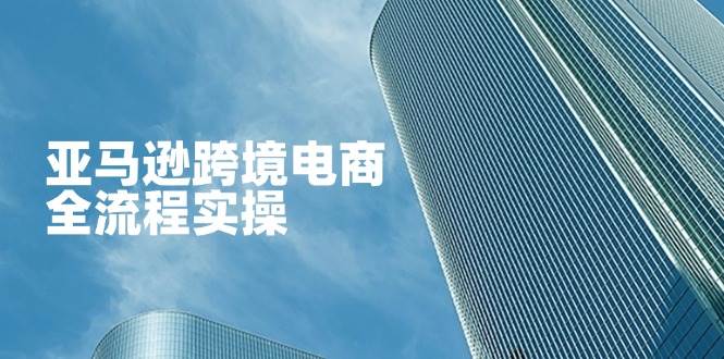 （14252期）亚马逊跨境电商全流程实操，教你从零开始，掌握店铺运营与广告技巧 - 来及网络