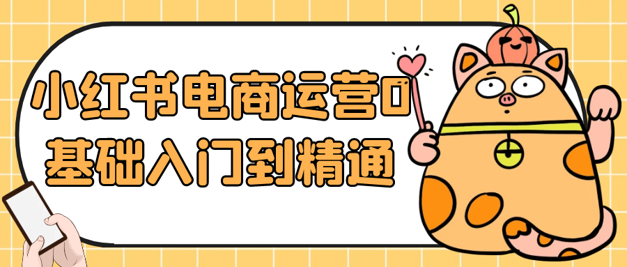 小红书电商运营0基础入门到精通 - 来及网络