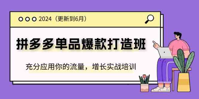 2024拼多多单品爆款打造班，充分应用你的流量，增长实战培训(更新6月) - 来及网络