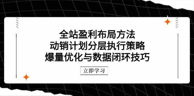 全站盈利布局方法：动销计划分层执行策略，爆量优化与数据闭环技巧 - 来及网络