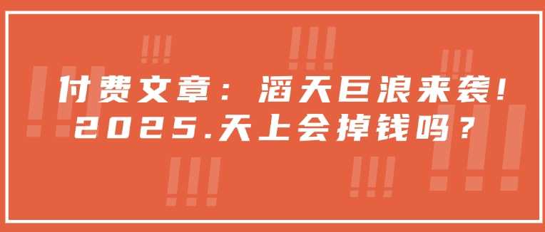 付费文章：滔天巨浪来袭！2025天上会掉钱吗？ - 来及网络