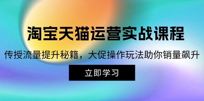（12959期）淘宝&天猫运营实战课程，传授流量提升秘籍，大促操作玩法助你销量飙升 - 来及网络