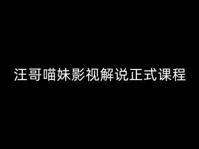 汪哥影视解说正式课程：剪映/PR教学/视解说剪辑5大黄金法则/全流程剪辑7把利器等等 - 来及网络