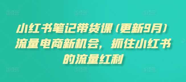 小红书笔记带货课(更新11月)流量电商新机会，抓住小红书的流量红利 - 来及网络