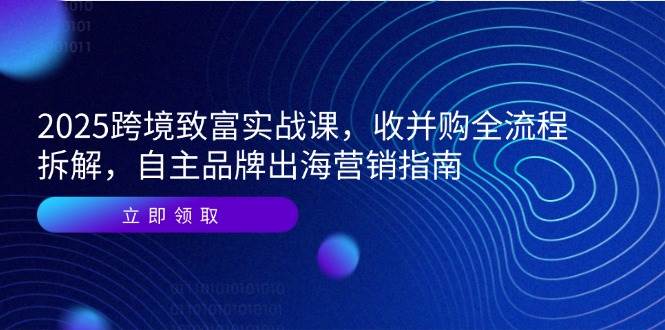 （14975期）2025跨境致富实战课，收并购全流程拆解，自主品牌出海营销指南 - 来及网络