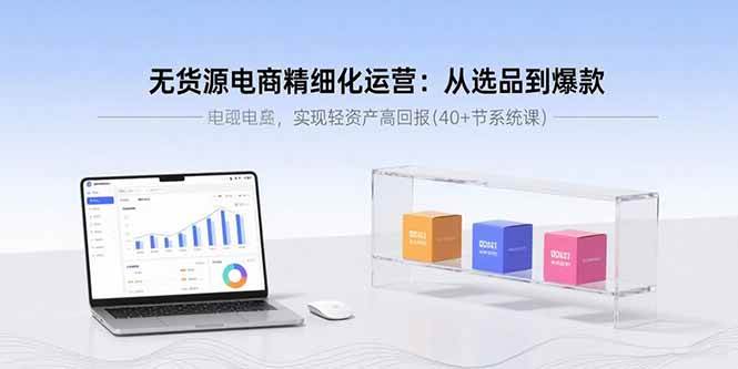 （15896期）无货源电商精细化运营：从选品到爆款，实现轻资产高回报(40+节系统课) - 来及网络