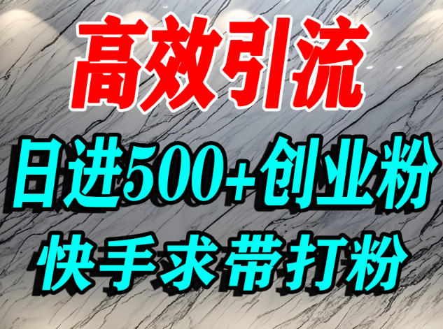怎么打创业粉？快手求带视角精准引流创业粉，宝妈、学生群体日进500+精准流量 - 来及网络