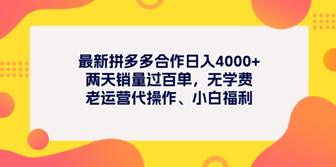 （11410期）最新拼多多项目日入4000+两天销量过百单，无学费、老运营代操作、小白福利 - 来及网络