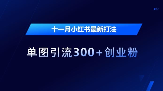 十一月小红书最新打法，单图引流300+创业粉【揭秘】 - 来及网络