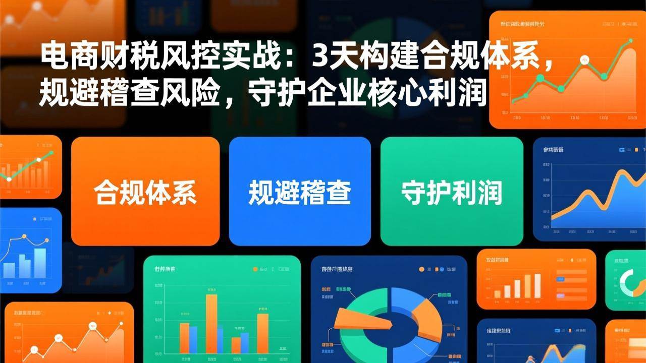 （17197期）电商财税风控实战：3天构建合规体系，规避稽查风险，守护企业核心利润 - 来及网络