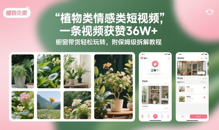 植物类情感类短视频，一条视频获赞36W+，橱窗带货轻松玩转，附保姆级拆解教程 - 来及网络