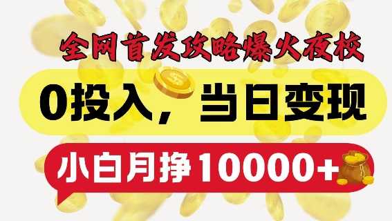 全网首发爆火夜校，0投入，当日变现，小白轻松月入1w+【揭秘】 - 来及网络